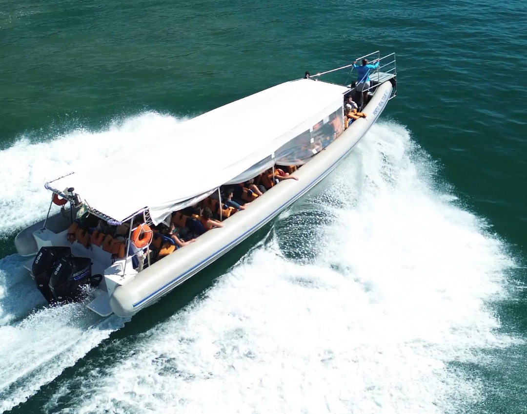 Travessia Ilha Grande