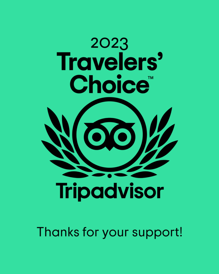 TripAdvisor - Top Transfer