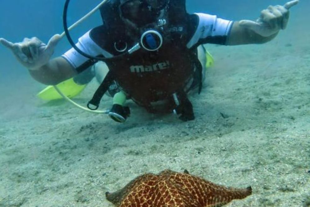 Passeios em Ilha Grande