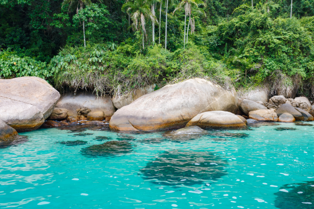 Ilha dos Cocos, Paraty - Passeios em Paraty